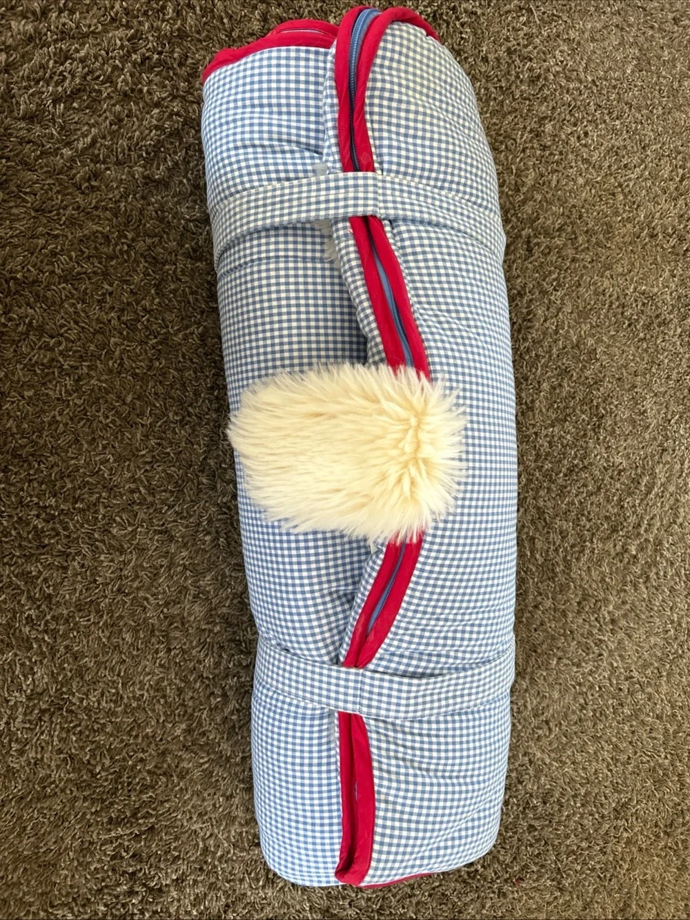 Pottery Barn Kids Shaggy Dog Sleeping Bag Blue White Check NO Monogram